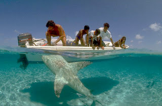 beach in africa