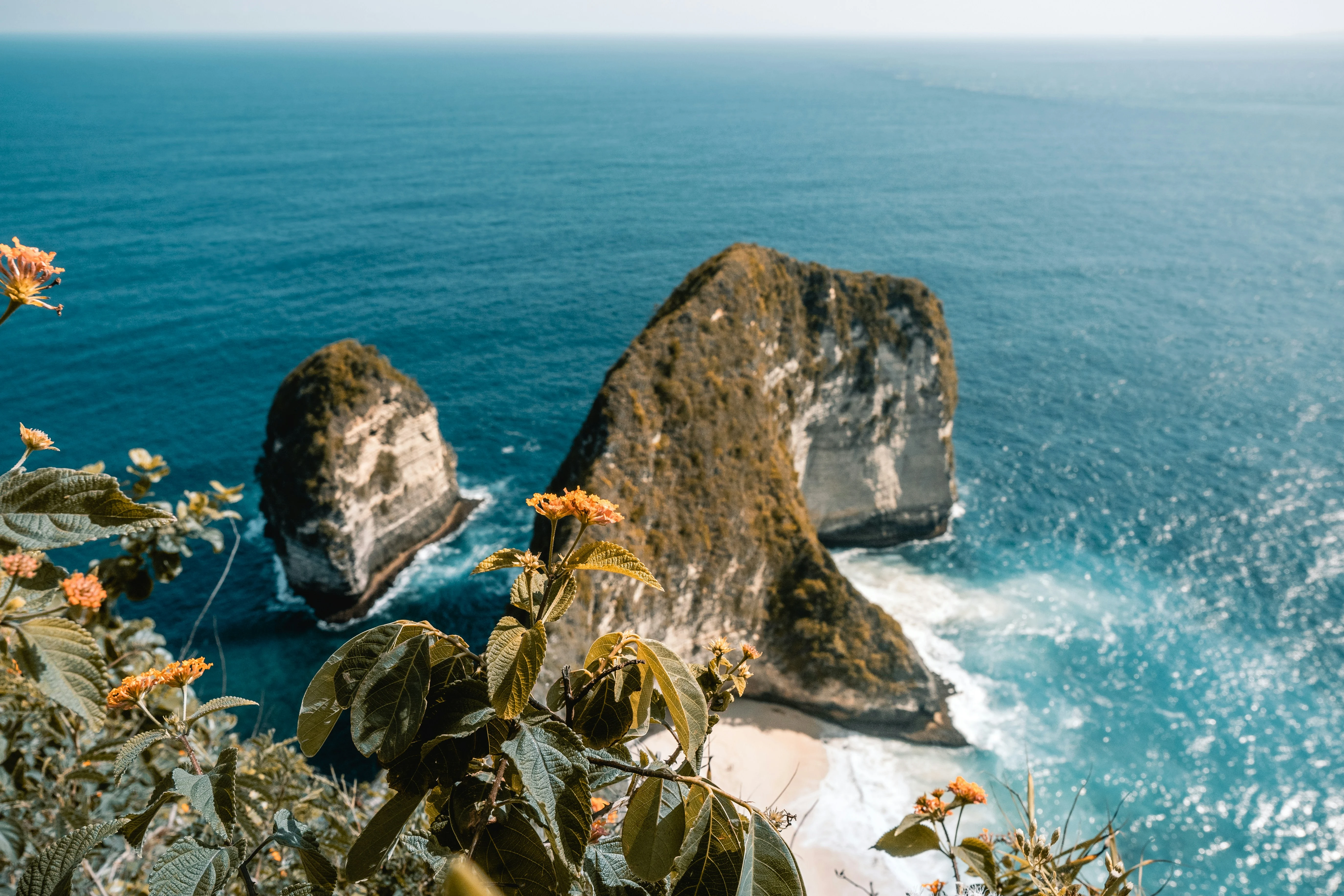 Kelingking Beach Bali Indonesia