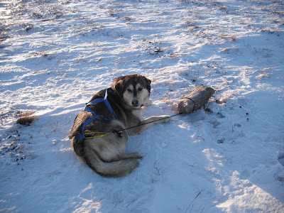 Hooper Bay 2010 OOOOO