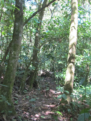 Paseo por la naturaleza