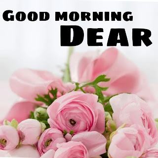 75+ Good morning dear images download