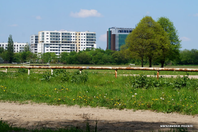 Warszawa Warsaw miasteczko konie Służewiec Ursynów