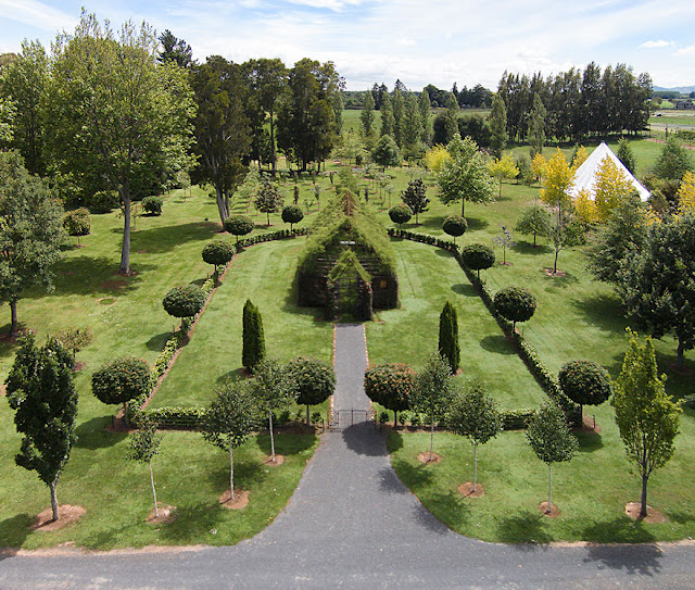 Tree church New Zealand