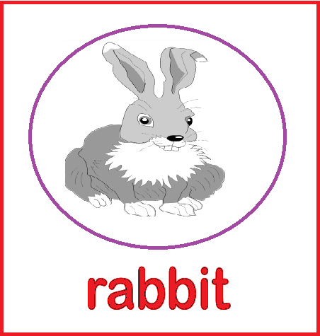 Animal Flashcards - Rabbit