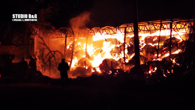 Μάχη των πυροσβεστών στην Αργολίδα με τις φλόγες σε φάρμα στο Κεφαλάρι (βίντεο)