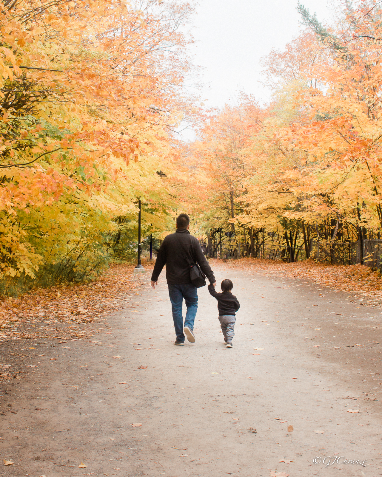 Montmorency Falls: Things To Do in Quebec, Canada