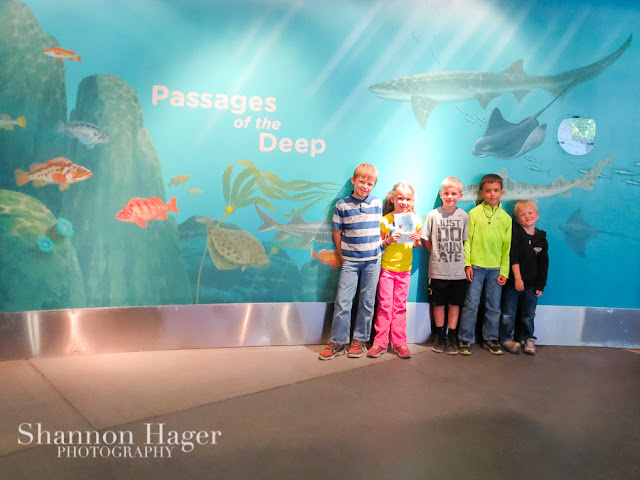 Shannon Hager Photography, Oregon Coast Aquarium