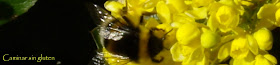 ABEJA LIBANDO 