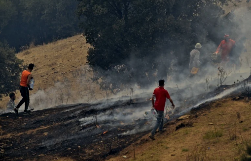 حرائق الغابات تقتل 26 شخصا شرق الجزائر