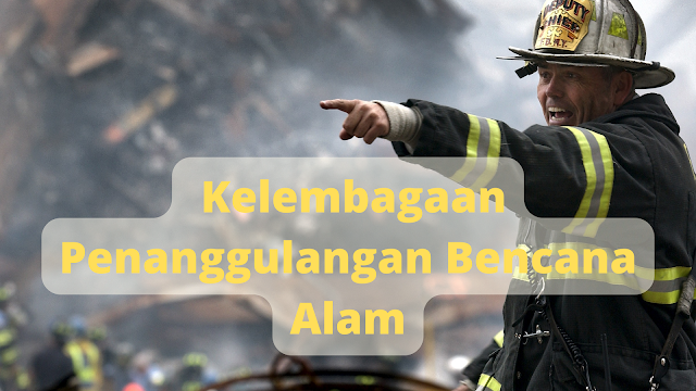 kelembagaan penanggulangan bencana alam