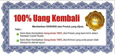 Garansi Obat Penyakit Kutil Kelamin