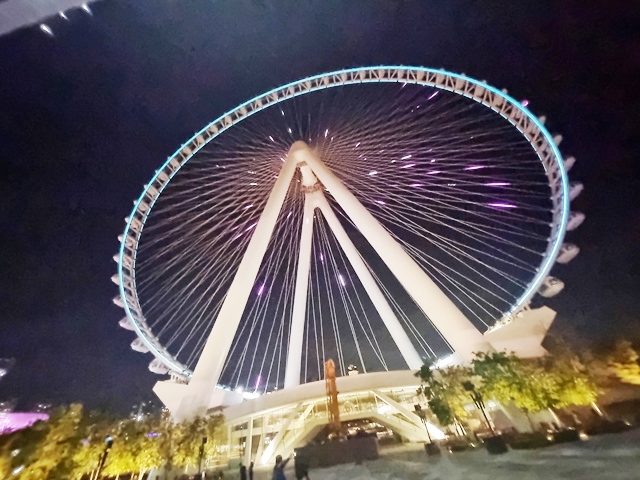 Foto da Roda Gigante de Dubai