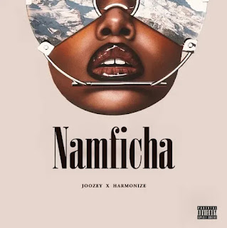 AUDIO | Dj Joozey Ft. Harmonize – Namficha (Mp3 Audio Download)