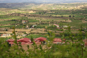 Vineyards in Laguardia