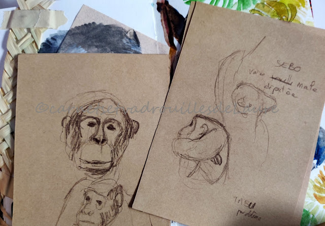 Chimpanzés Ouganda aquarelle carnetsetvadrouillesdeLaure