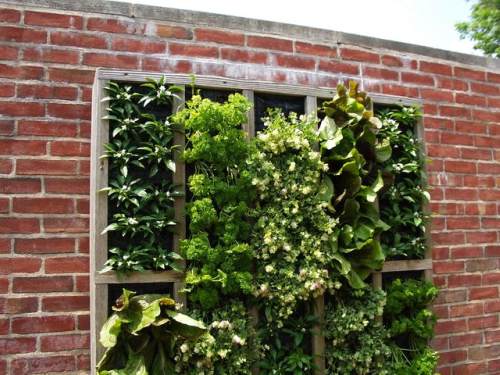 Vertical Garden