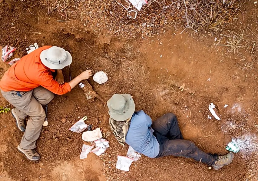 Christopher Griffin works at uncovering fossils buried in the ground in Mbire, Zimbabwe in 2017.