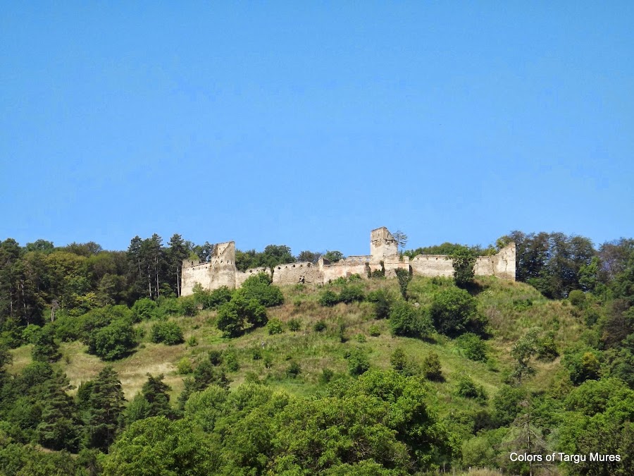 Cetatea Saschiz