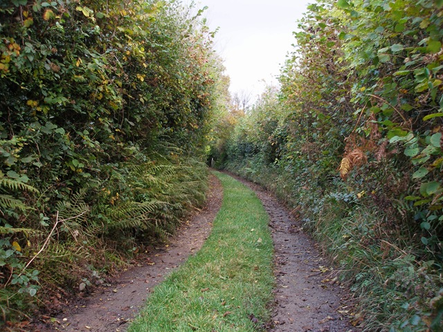 25th_october_2009
