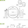 Russian Formal Table Setting / Russian Table Setting Youtube - Maybe you would like to learn more about one of these?