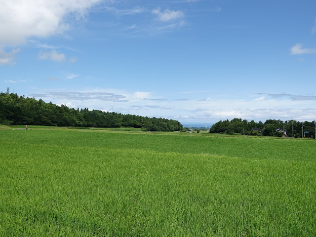 鳥取県西伯郡大山町佐摩　農道からの眺め