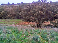 Panorama murgiano in autunno