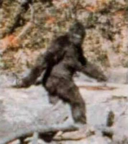 New Bigfoot Docs Stomp Onto Scene