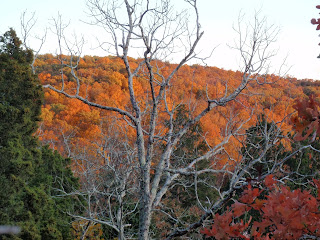 River to River Trail - Shawnee National Forest