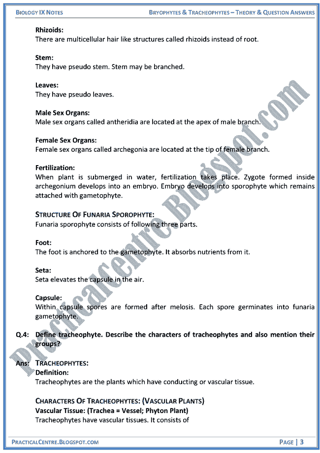 bryophytes-and-tracheophytes-theory-and-question-answers-biology-ix