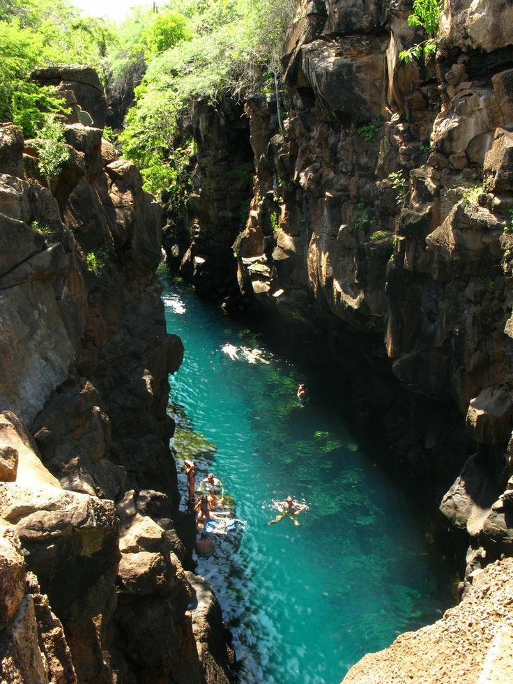 Canal Swimming in Costa Rica