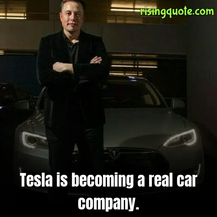 Elon musk Twitter, Elon musk, musk, SpaceX Starlink,  Elon musk satellites, Starlink internet, Elon musk companies, Elon musk PayPal, tesla CEO, SpaceX satellites, owner of tesla, Elon musk tesla