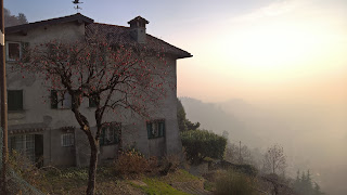 House and persimmon treeon Via Colle dei Roccoli