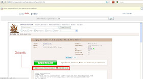 Download torrent file using download manager.