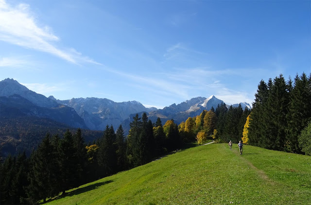 Grüne Lichtung mit Wettersteingebirge, Laubbäumen und Bergwiesen