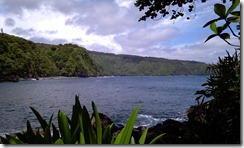 Tropical View