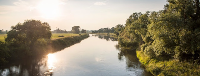 Summer in Saxony