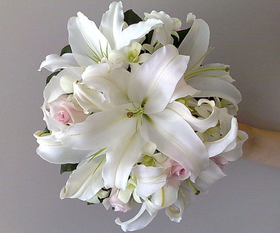 white tiger lilies. Day lilies,white tiger