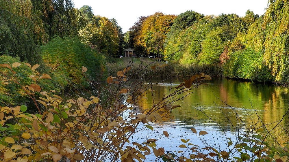 Herbststimmung,  blattfärbung