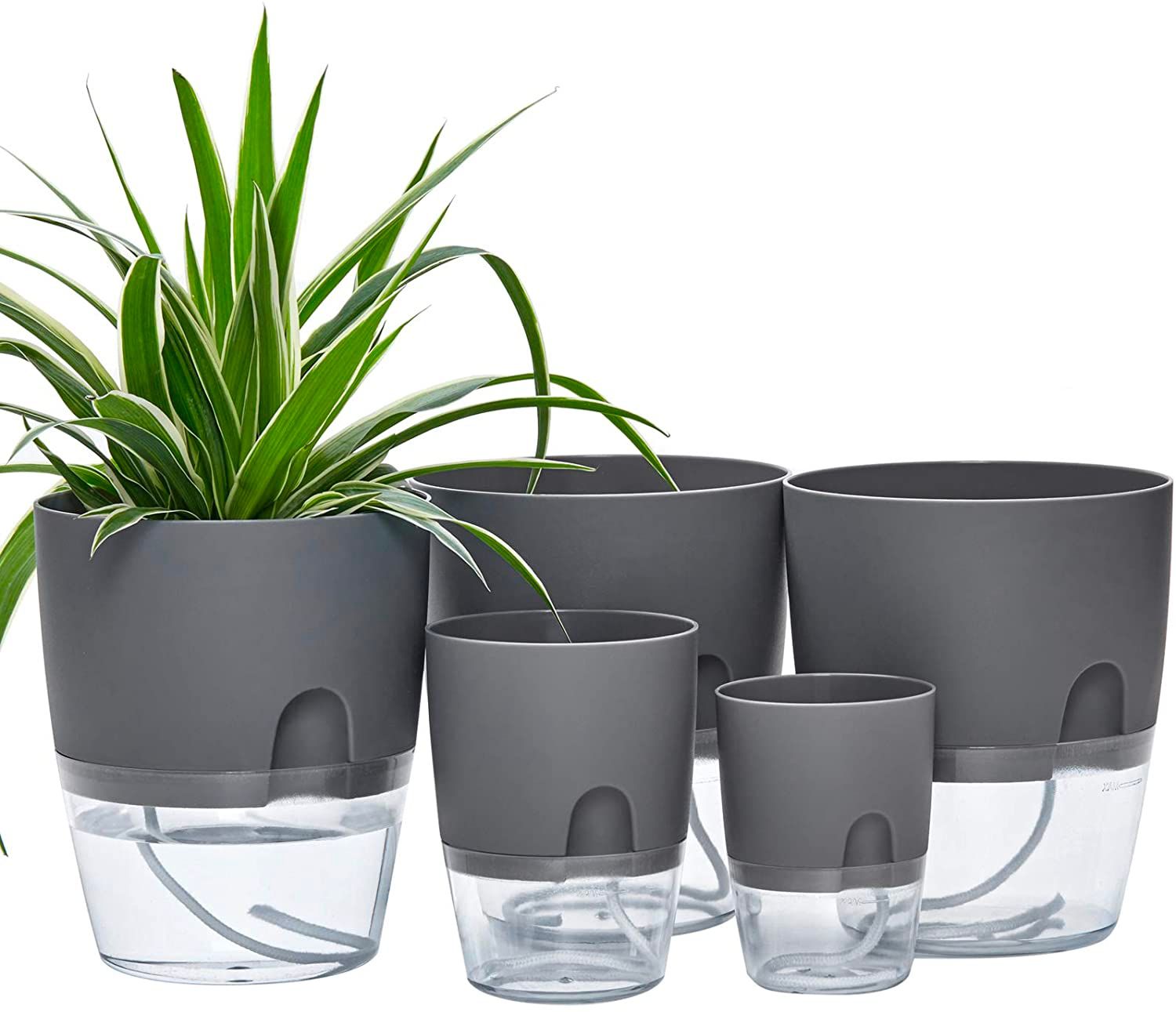 Self-watering planters are a popular type of container for growing plants that provide a convenient and easy way to keep plants hydrated.