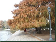 invierno3