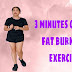 3 MINUTES OF CARDIO FAT-BURNING EXERCISE