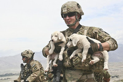 Soldiers with Pets Seen On www.coolpicturegallery.us