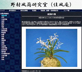  http://www.fuuran.jp/jiman_nangokunomai.html#%E5%8D%97%E5%9B%BD%E3%81%AE%E8%88%9E%E3%81%AE%E8%A9%B3%E7%B4%B0
