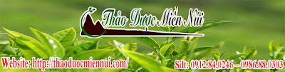 Thao-duoc-mien-nui-viet-nam