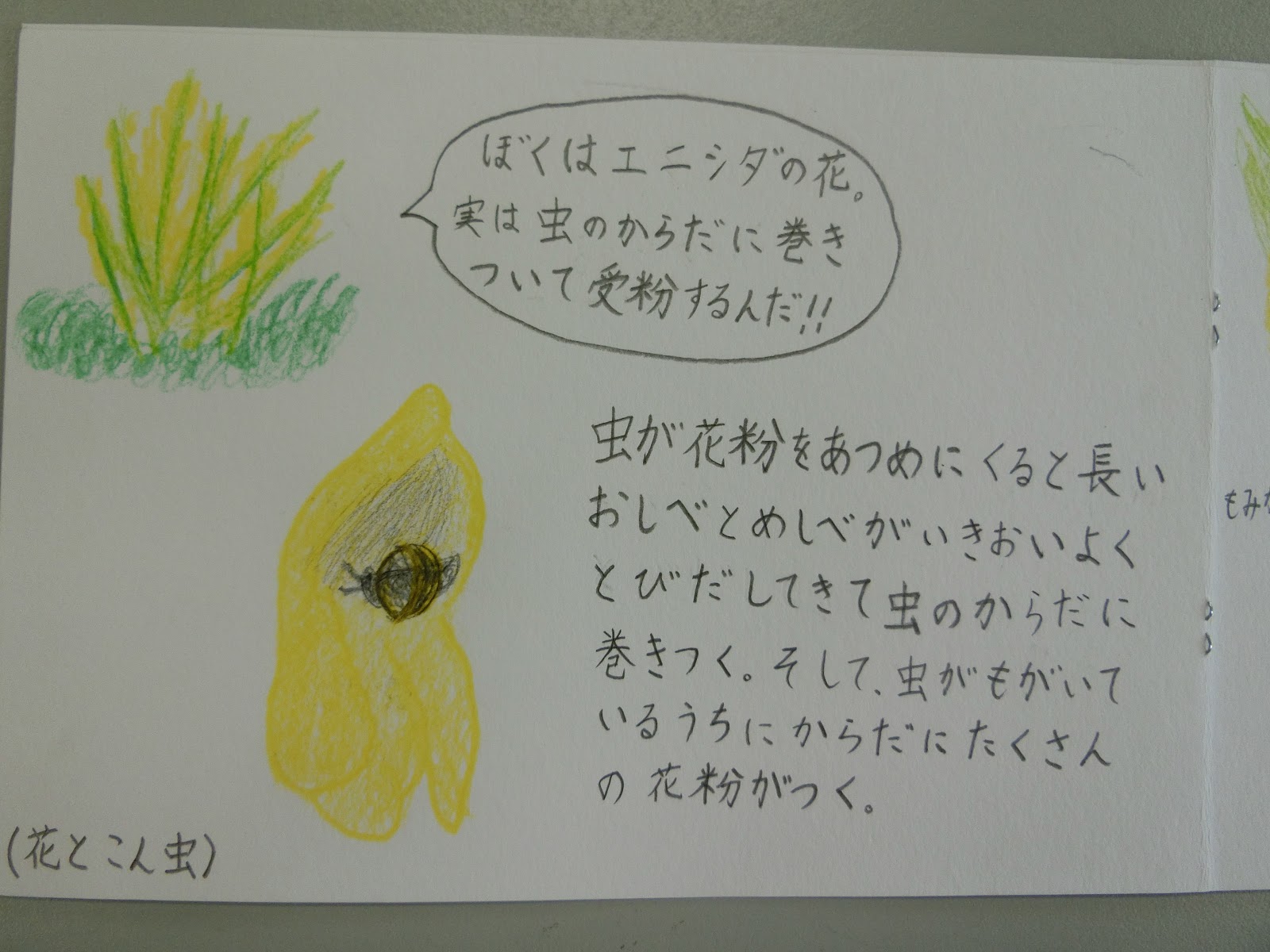 板書ノート 植物の花と結実