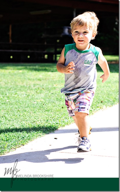 Running Beau for web