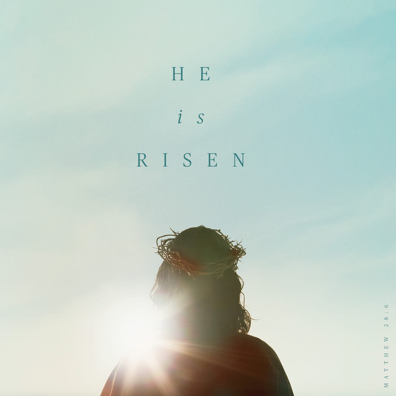 He is not here; he has risen, just as he said. Come and see the place where he lay. Matthew 28:6 NIV https://matthew.bible/matthew-28-6