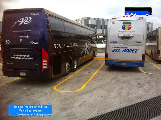 Ave Senda Ejecutiva Volvo 9700 modificado a Grand