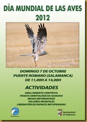 dia mundial de las aves 05