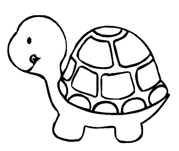 Cute Sea Turtle Coloring Page Hicoloringpages Within Cute Turtle Coloring  Pages